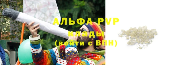 ПСИЛОЦИБИНОВЫЕ ГРИБЫ Медногорск
