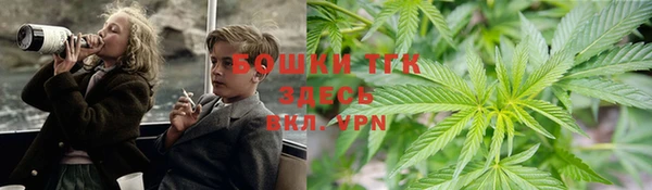 СК Михайловск
