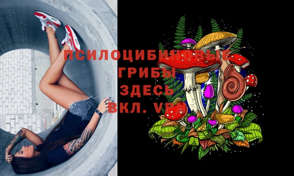 СК Михайловск