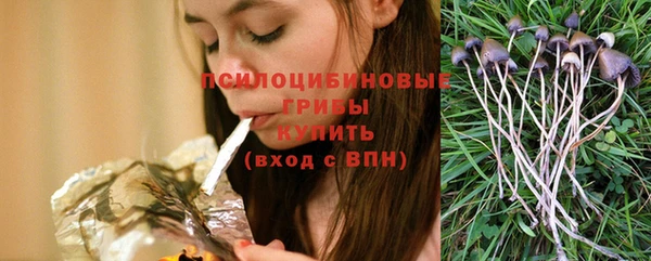 не бодяженный Белокуриха