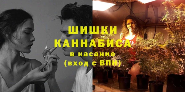 спайс Михайлов