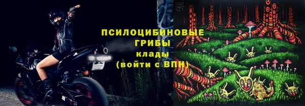 СК Михайловск