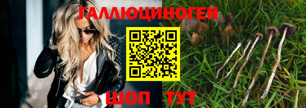 Галлюциногенные грибы мухоморы Донецк